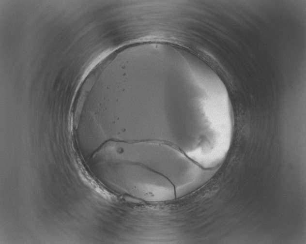 X0000076380900200611031626