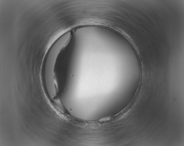 X0000076380901200611031626