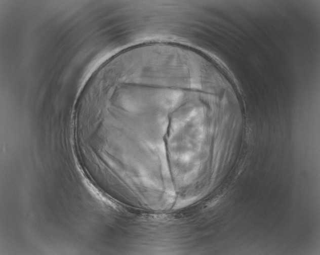 X0000076380903200611031626