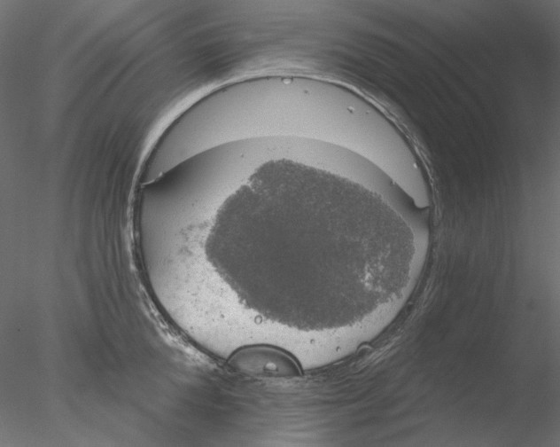 X0000076380904200611031626