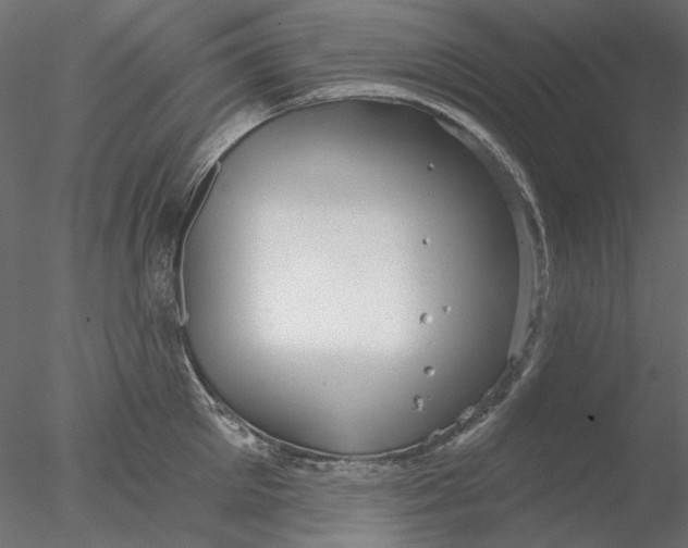 X0000076380905200611031626