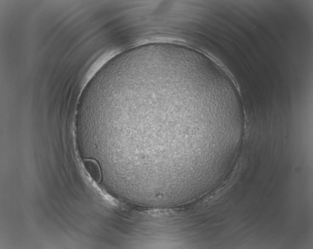 X0000076380906200611031626