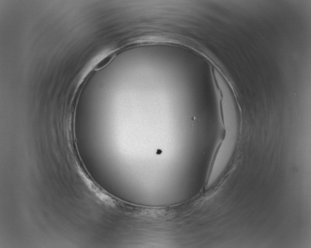 X0000076380909200611031626