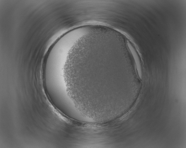 X0000076380910200611031626