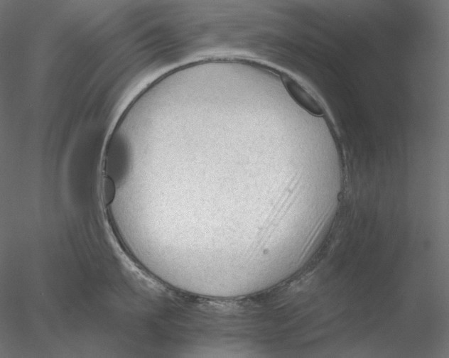 X0000076380911200611031626