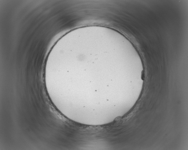 X0000076380912200611031626