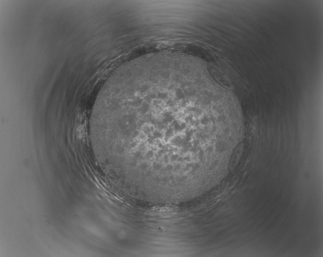 X0000076380914200611031625