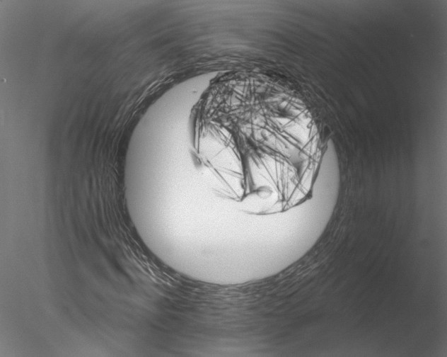 X0000076380916200611031625