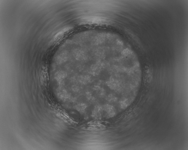 X0000076380918200611031625