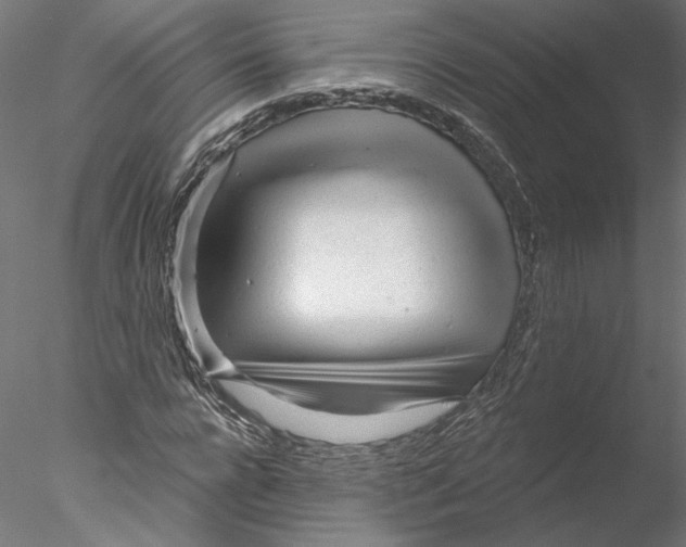 X0000076380920200611031625