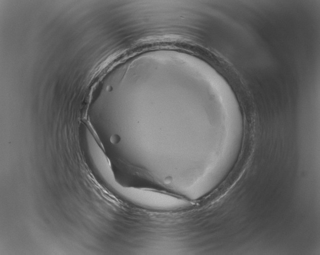 X0000076380921200611031625