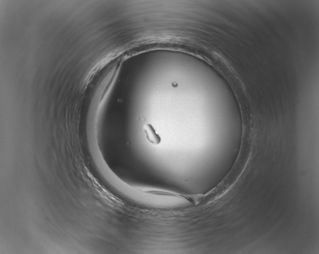 X0000076380922200611031625