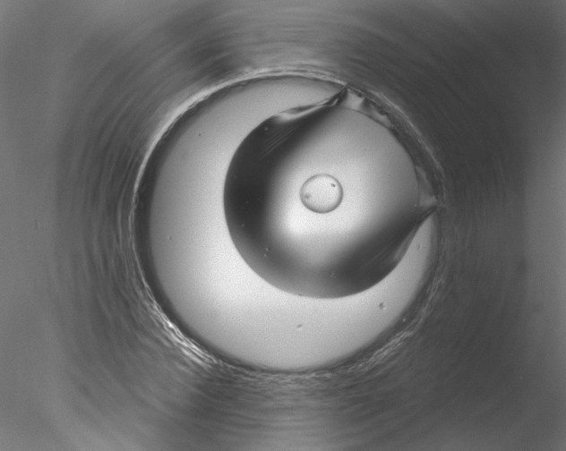 X0000076380924200611031625