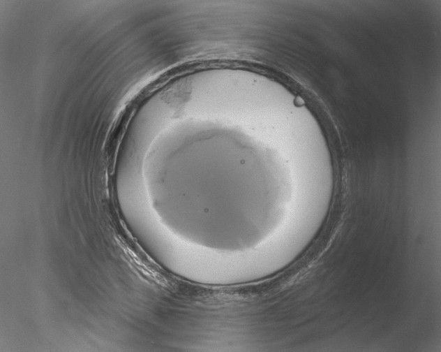 X0000076380925200611031625