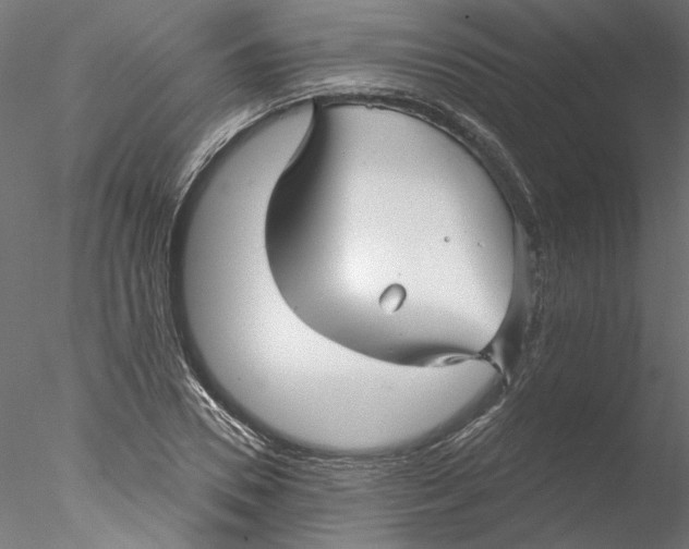 X0000076380930200611031625