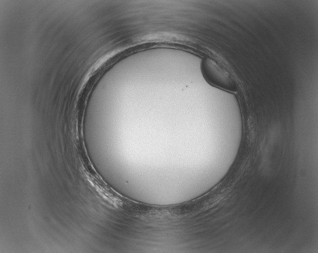 X0000076380931200611031625