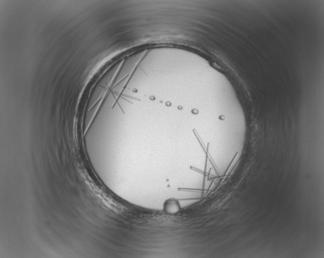 X0000076380932200611031626