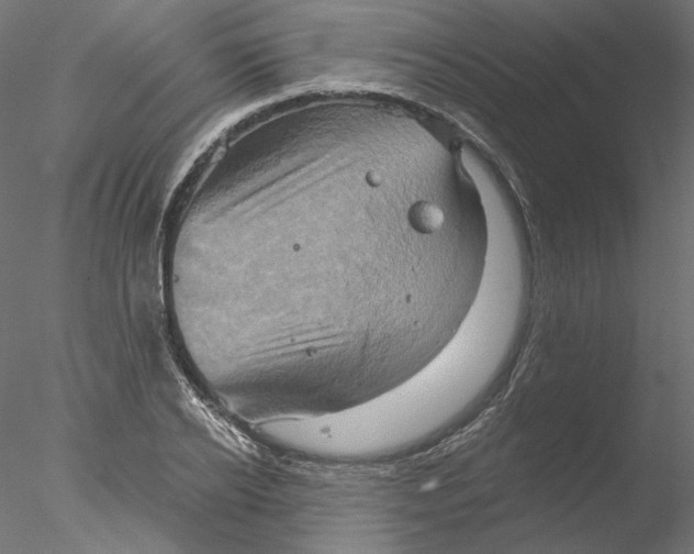 X0000076380934200611031626