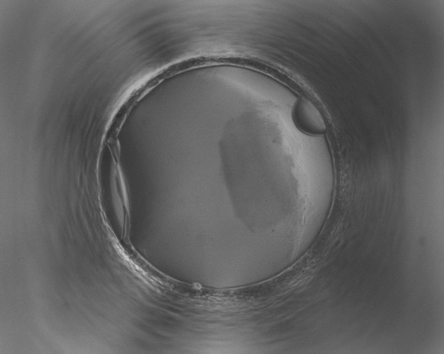 X0000076380935200611031626