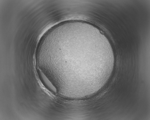 X0000076380936200611031626