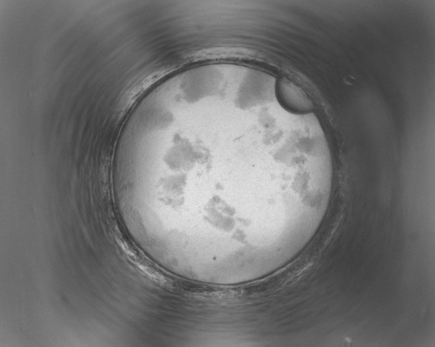 X0000076380937200611031626