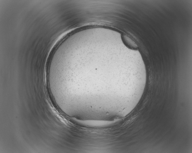 X0000076380940200611031626