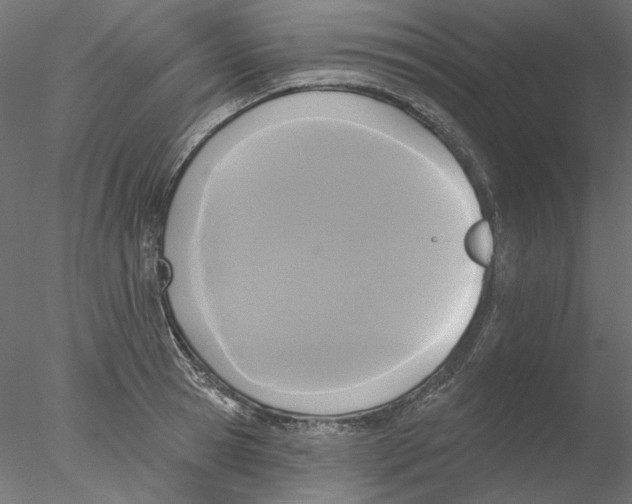 X0000076380945200611031626