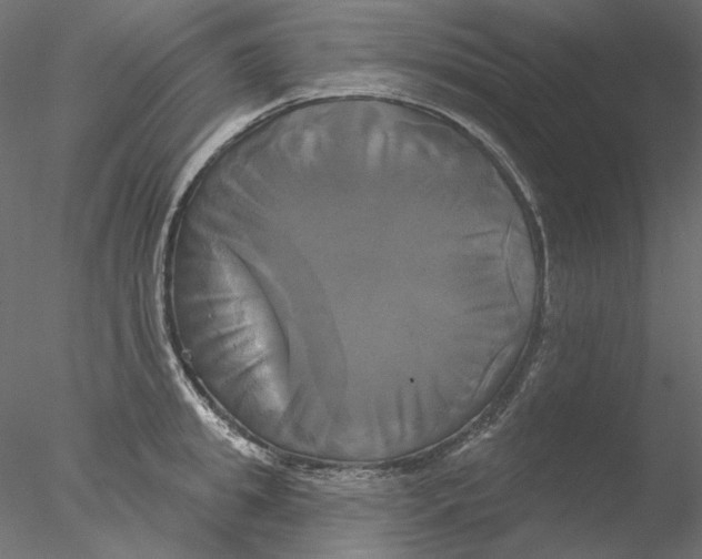 X0000076380949200611031626