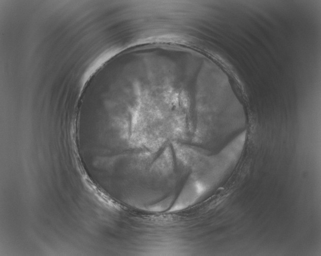 X0000076380952200611031626