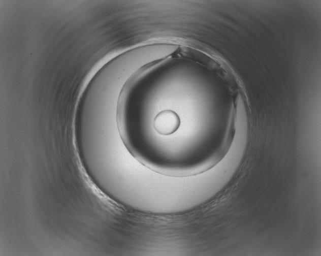 X0000076380955200611031626