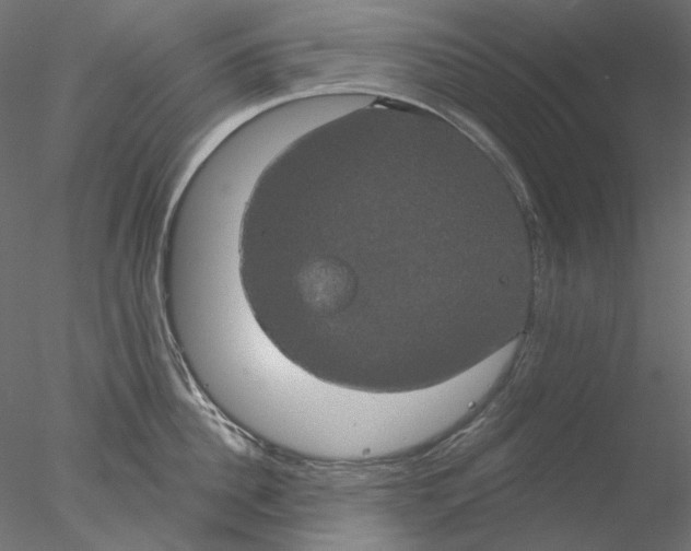 X0000076380956200611031626