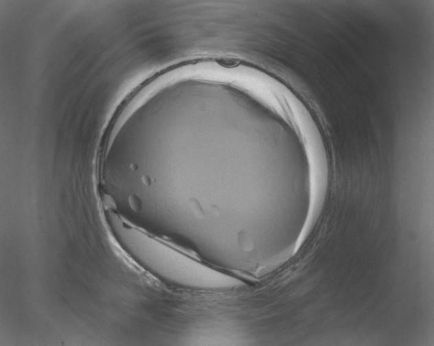 X0000076380958200611031626