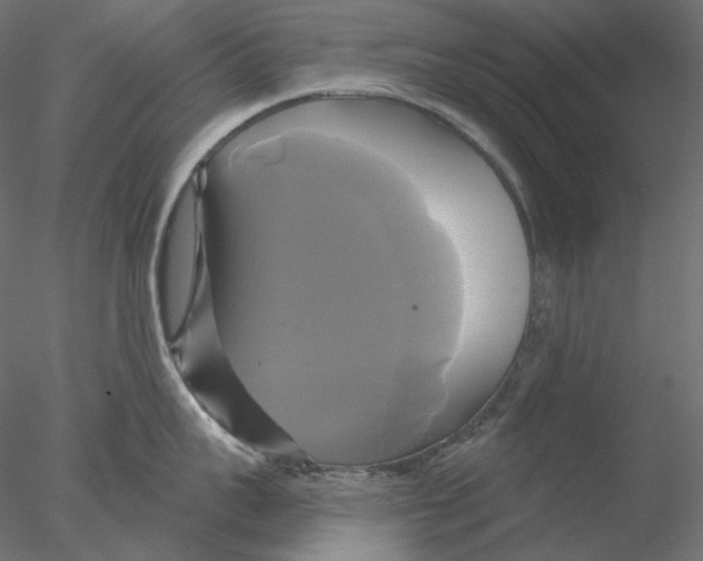 X0000076380959200611031626