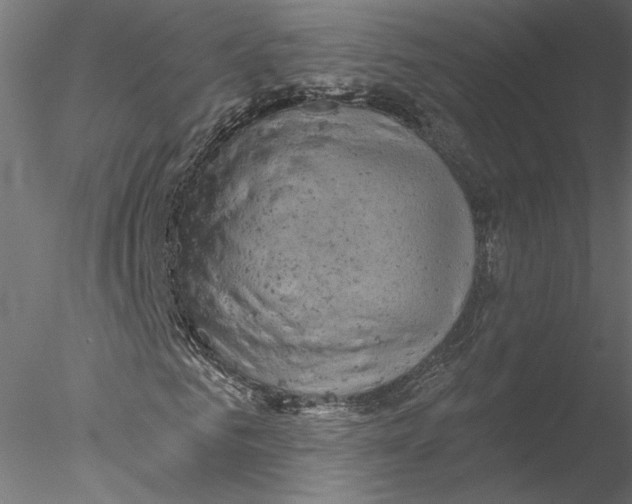 X0000076380961200611031625