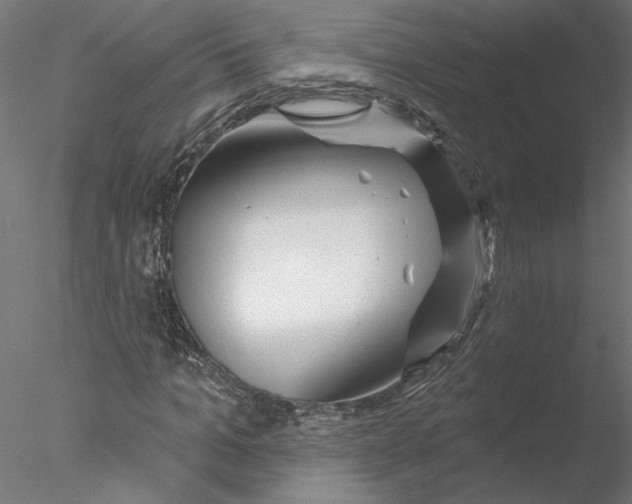 X0000076380965200611031625