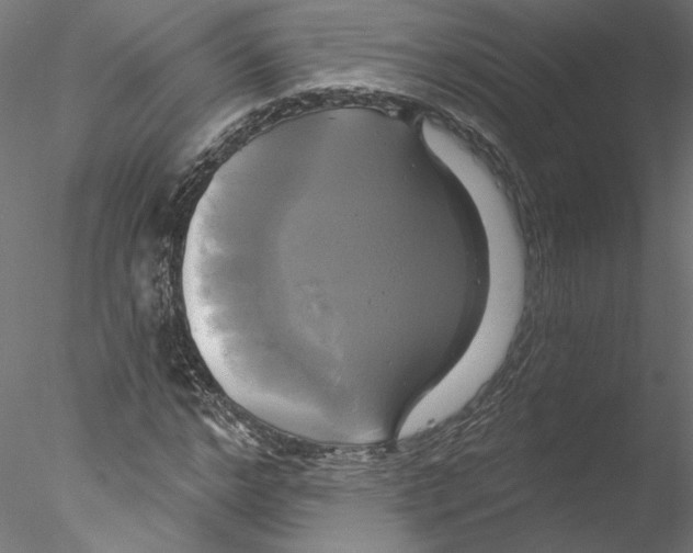 X0000076380968200611031625