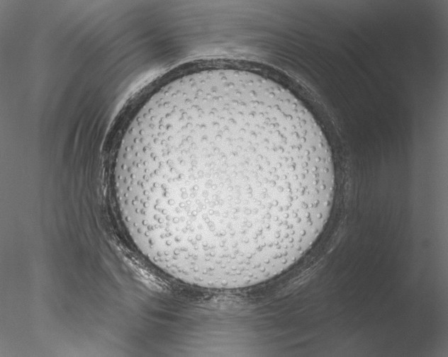 X0000076380974200611031625