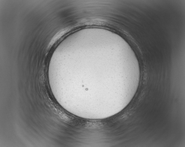 X0000076380978200611031625