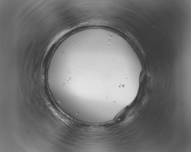 X0000076380981200611031625