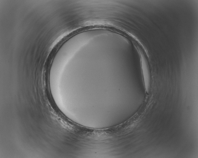 X0000076380983200611031625