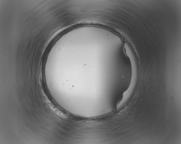 X0000076380984200611031625