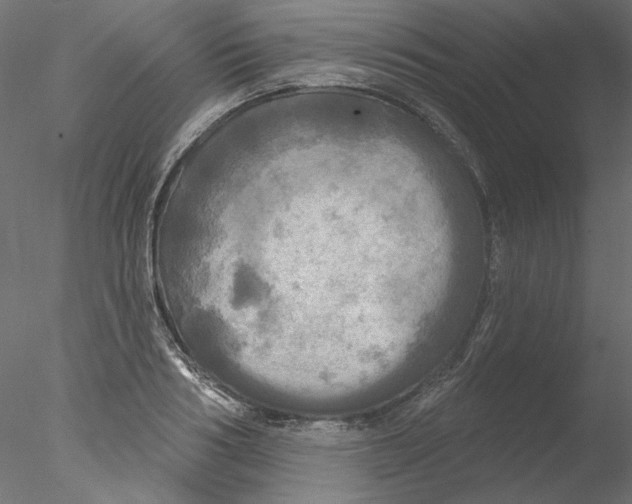 X0000076380986200611031625