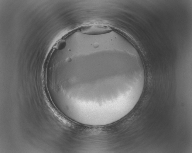 X0000076380990200611031625