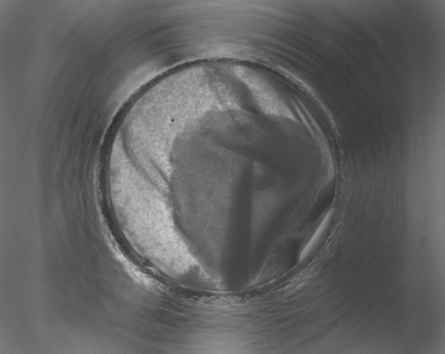 X0000076380991200611031625