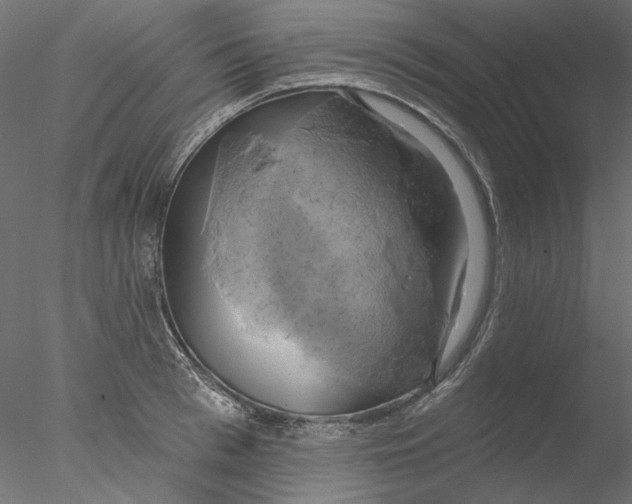 X0000076380993200611031625