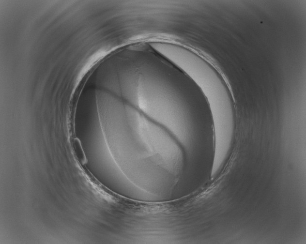 X0000076380997200611031625