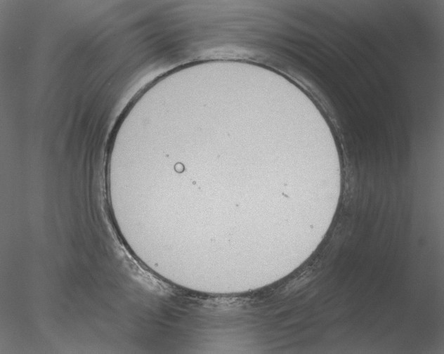 X0000076381000200611031625