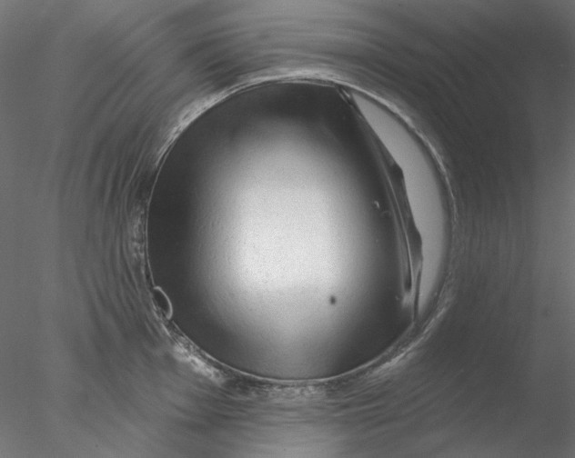 X0000076381001200611031624