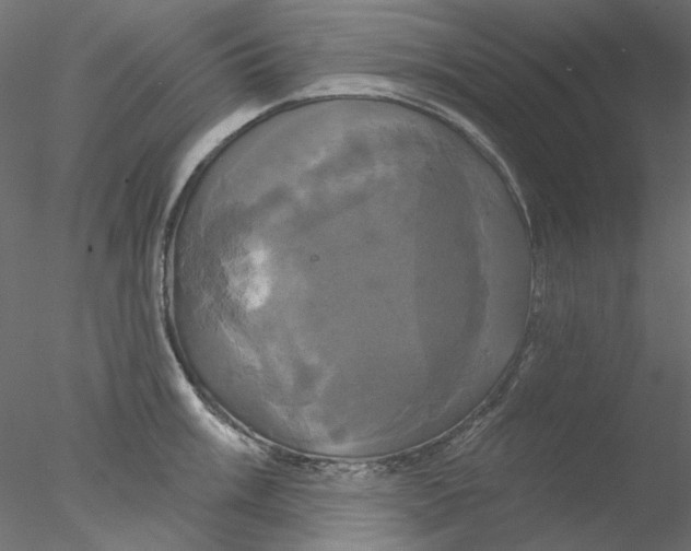 X0000076381003200611031624