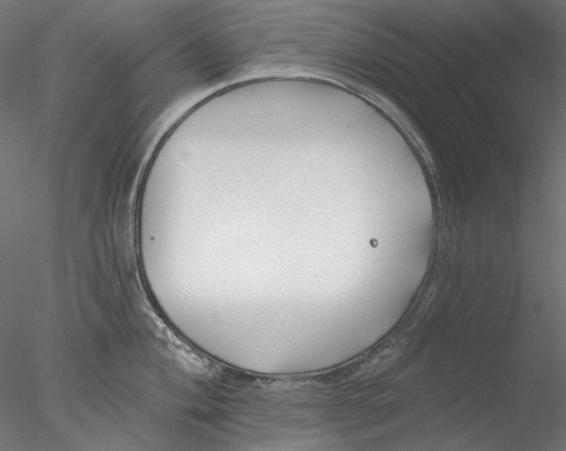 X0000076381004200611031624